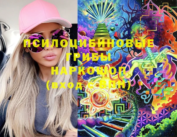 тгк Бронницы