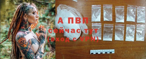 твердый Покачи