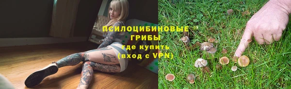тгк Бронницы