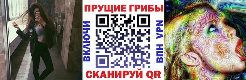 MEGA зеркало  купить закладку  Мурманск  Псилоцибиновые грибы MAGIC MUSHROOMS 