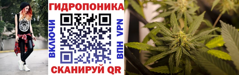 Канабис VHQ  закладки  Мурманск 